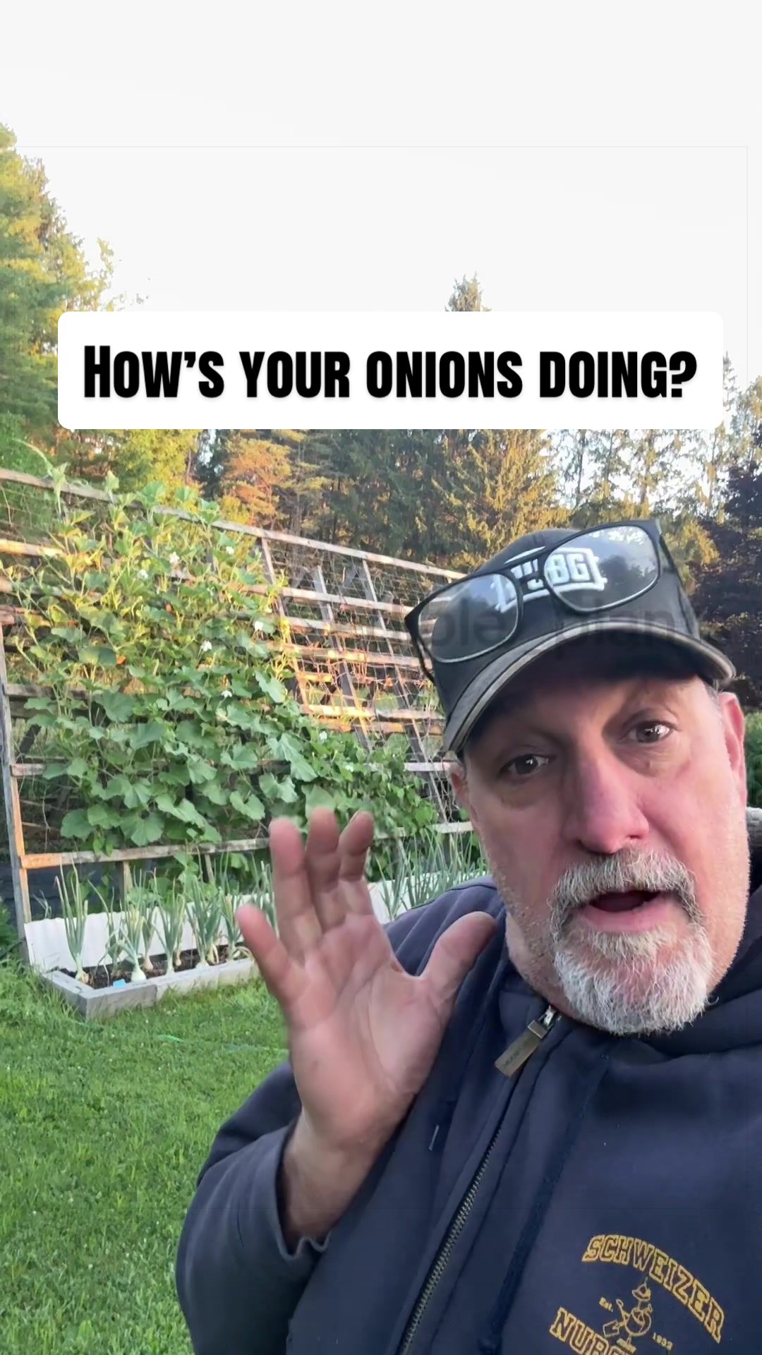 @GROWING_EDIBLE_PLANTS