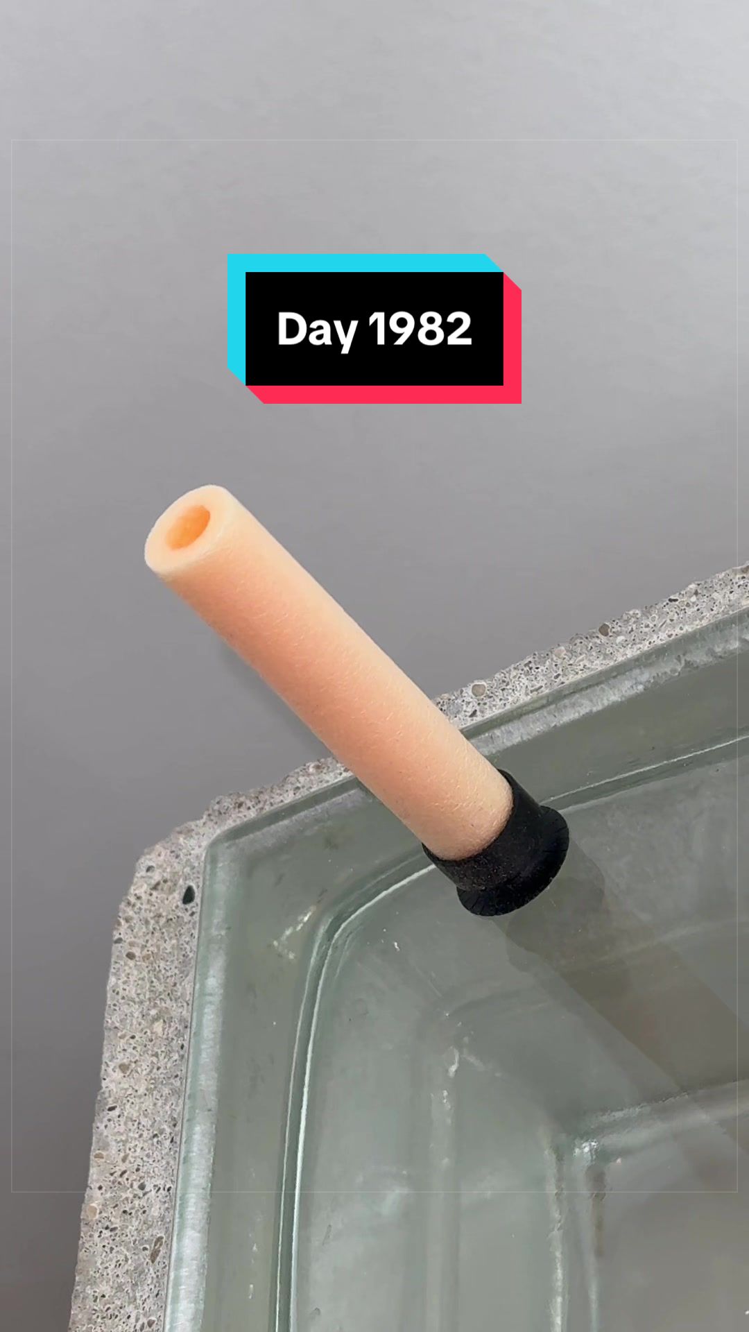 @The Immortal Nerf Dart