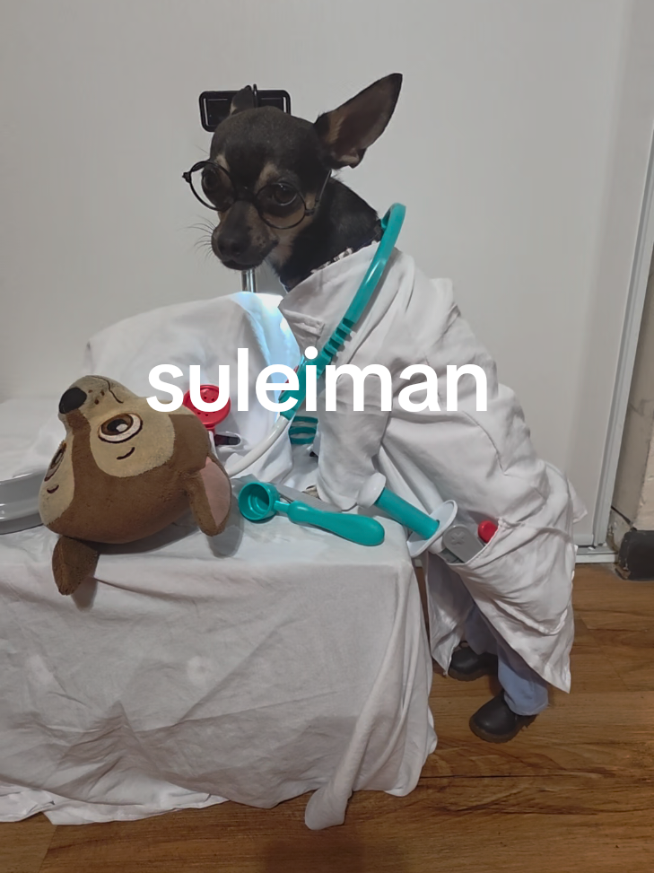 @suleiman 🐕