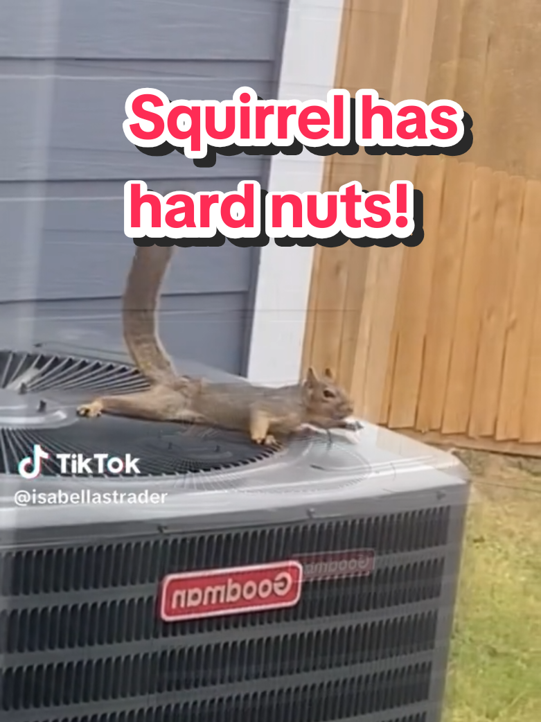 @❌️MrChuckles❌️