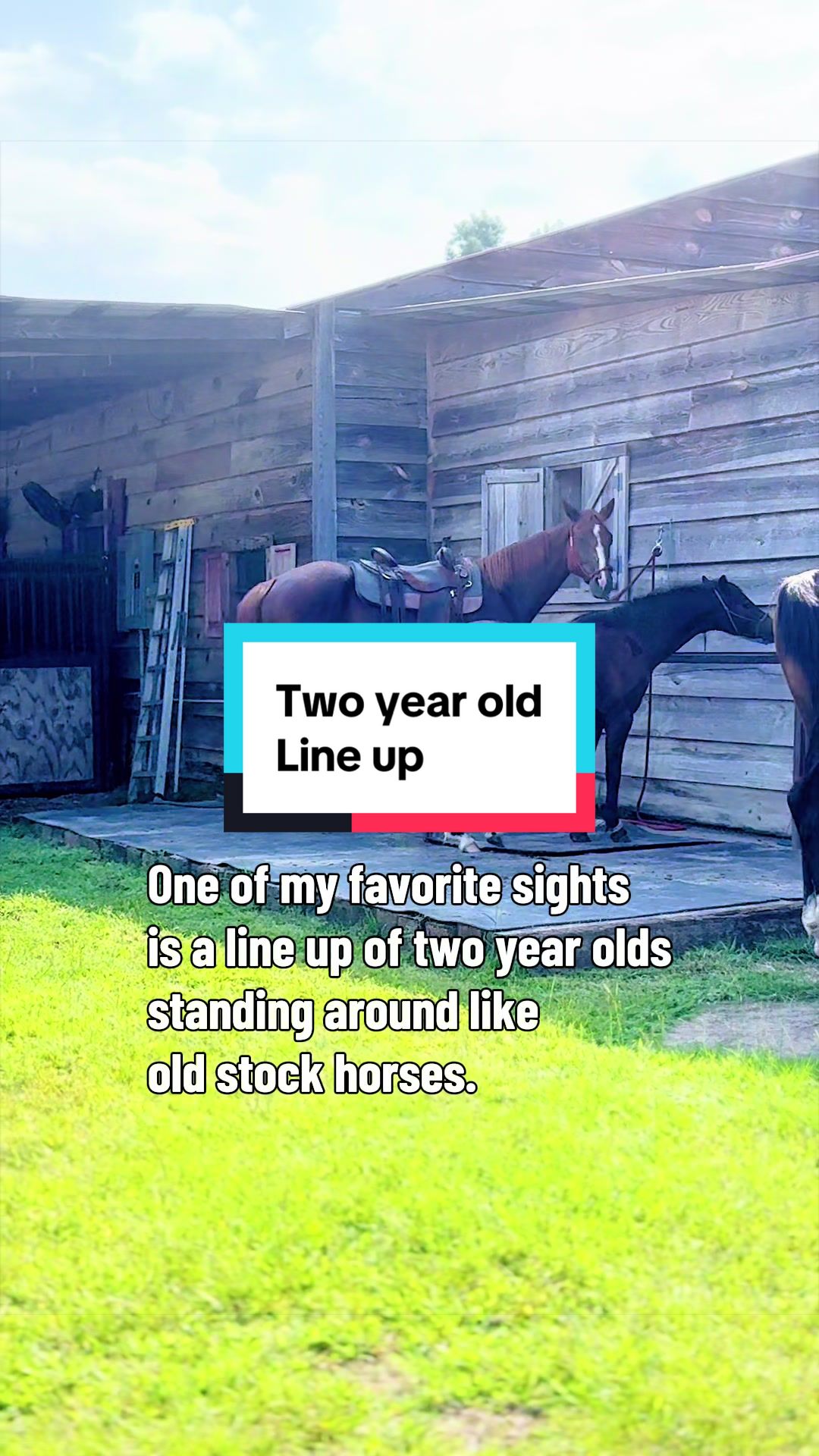 @Katie | The English Cowboy