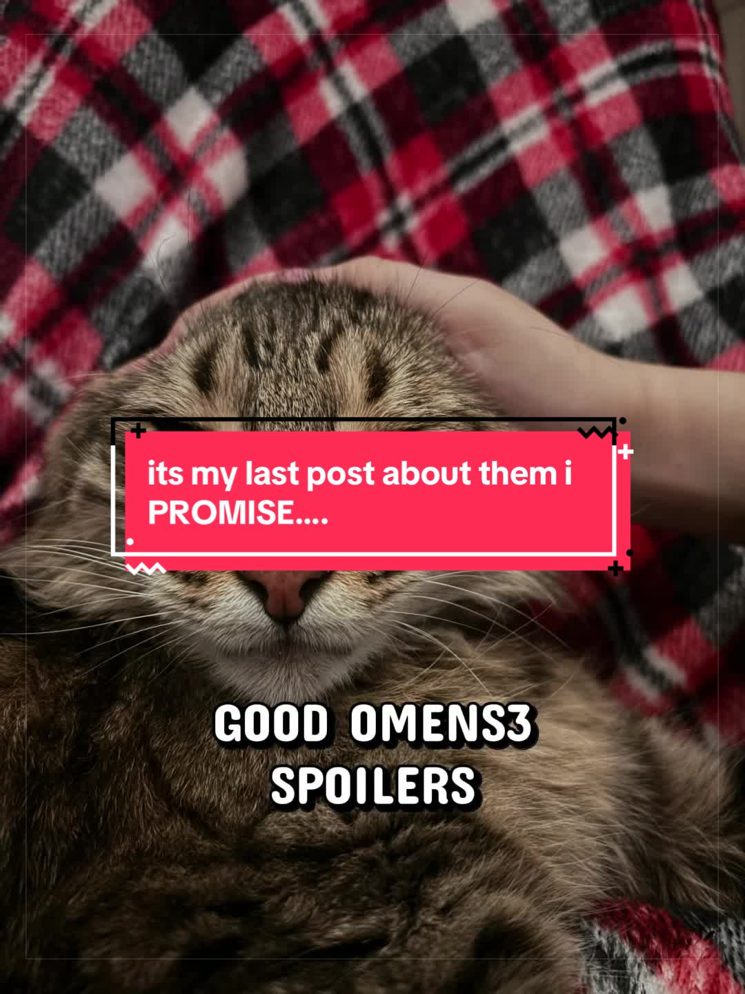 @🗝️୨𝒓𝒐𝒃𝒚𝒏୧🐙
