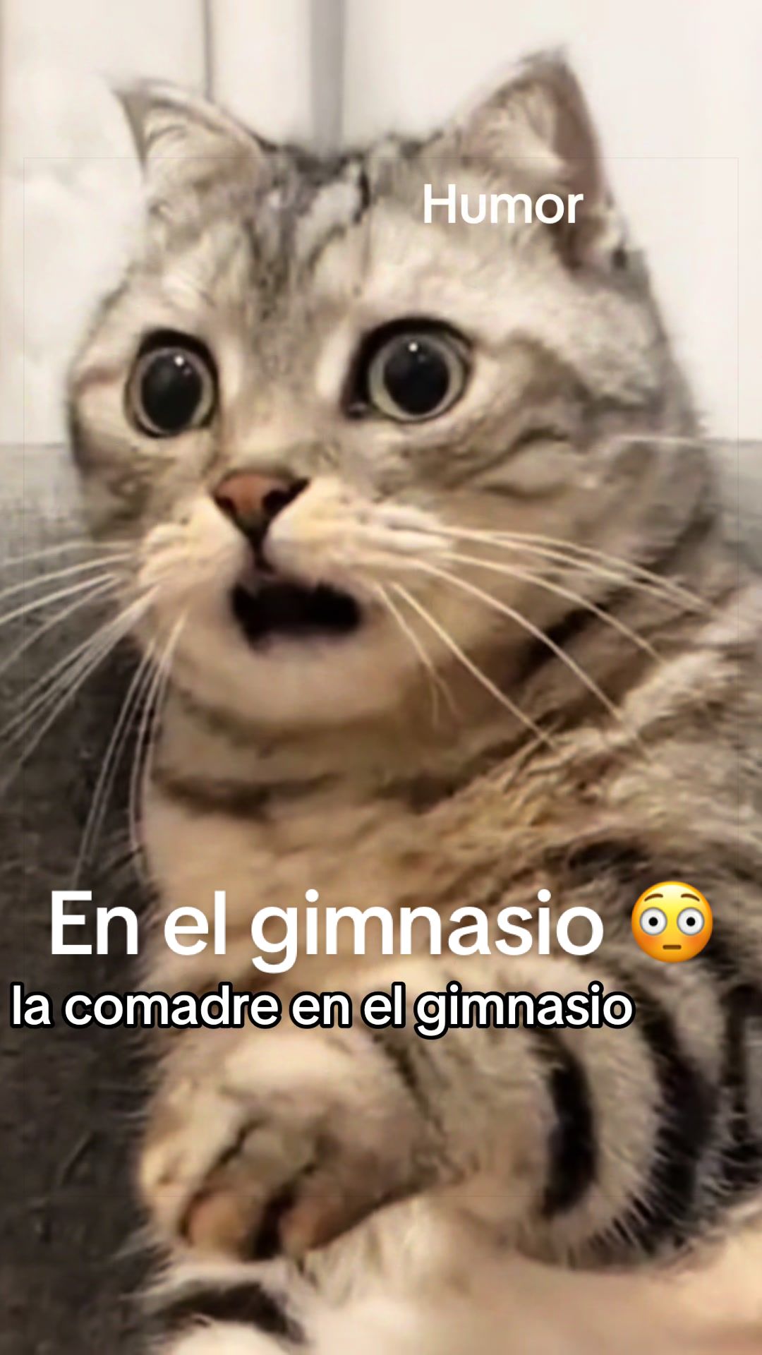 @CHISPITA 💦💦👑👭🌻💄🐓