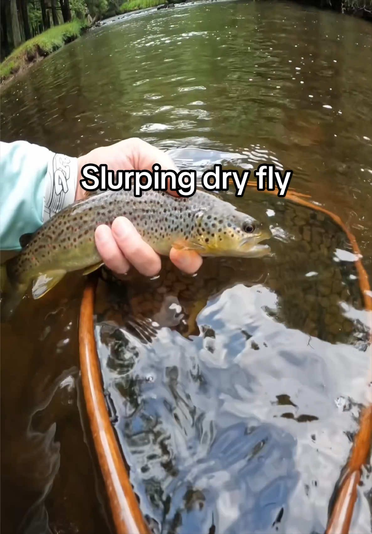 @FlyFishDelawhere