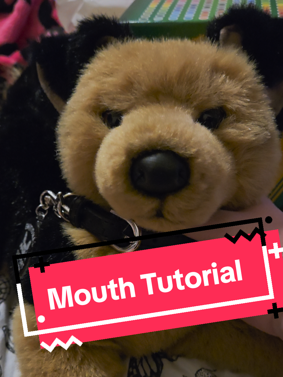 @˖⁺‧₊☽ ཐི༏ཋྀ Moth ཐི༏ཋྀ ☾₊‧⁺˖⋆
