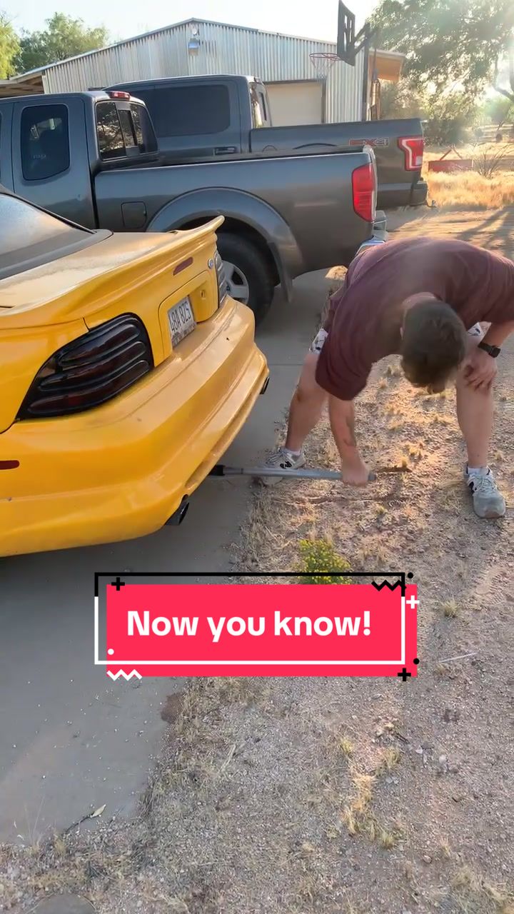 @Cumsterdump