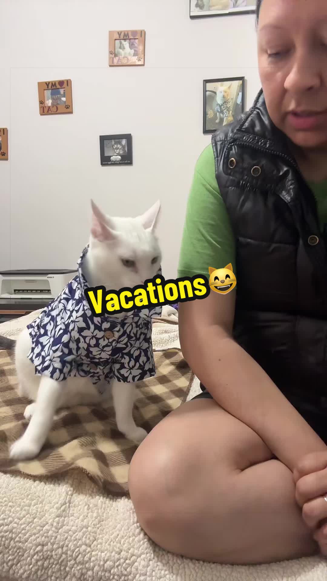 @🦖 MEOWassic CAT😺