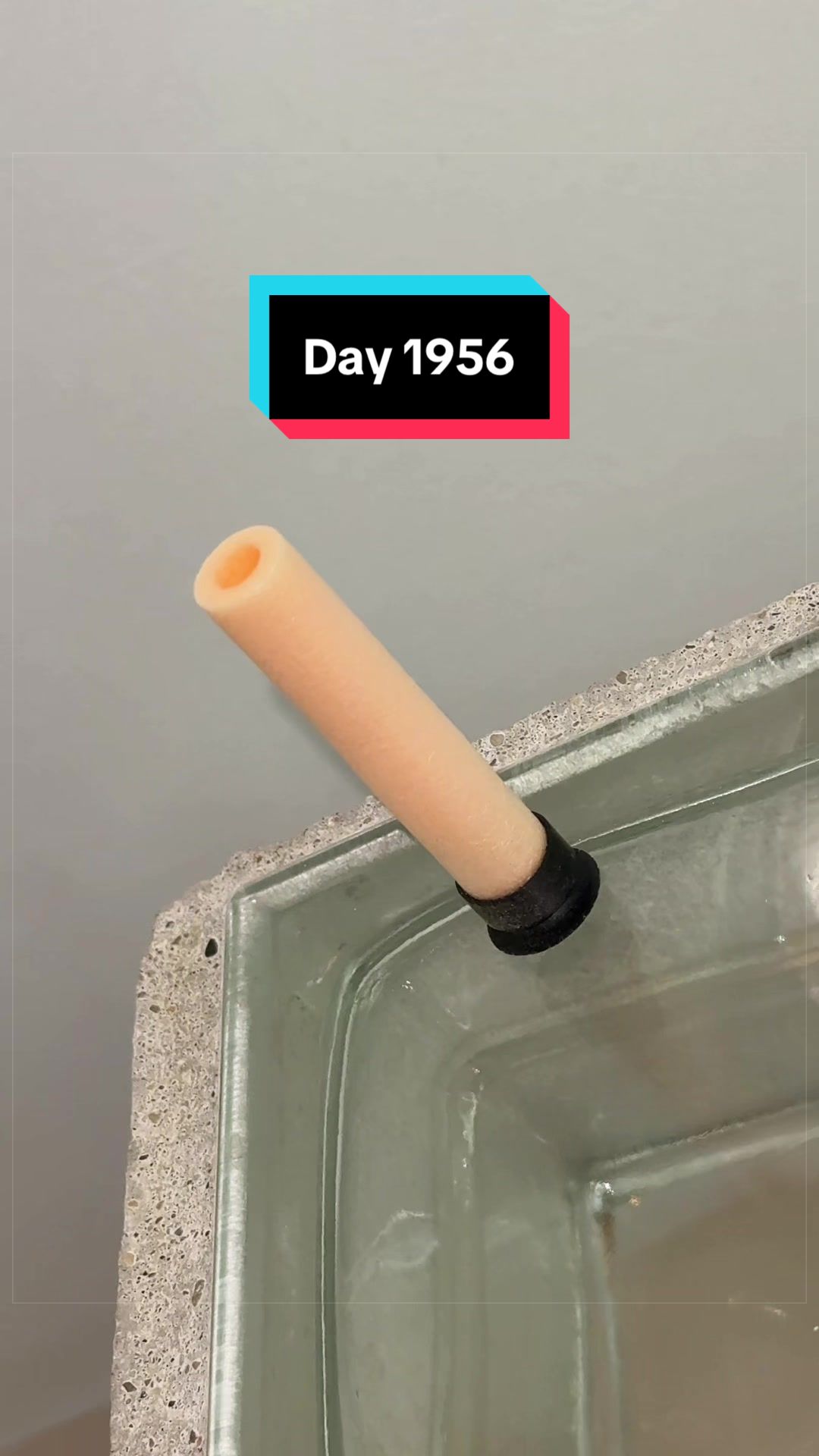 @The Immortal Nerf Dart