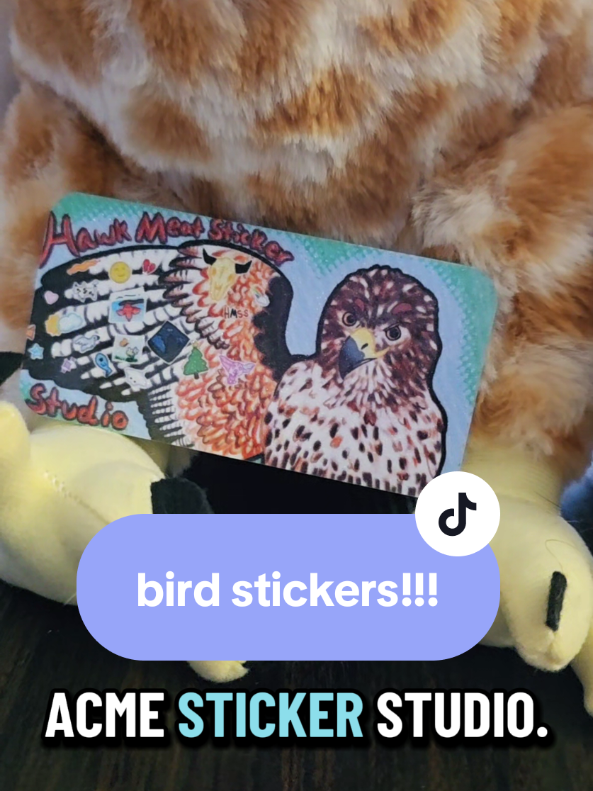 @Hawk Meat Sticker Studio