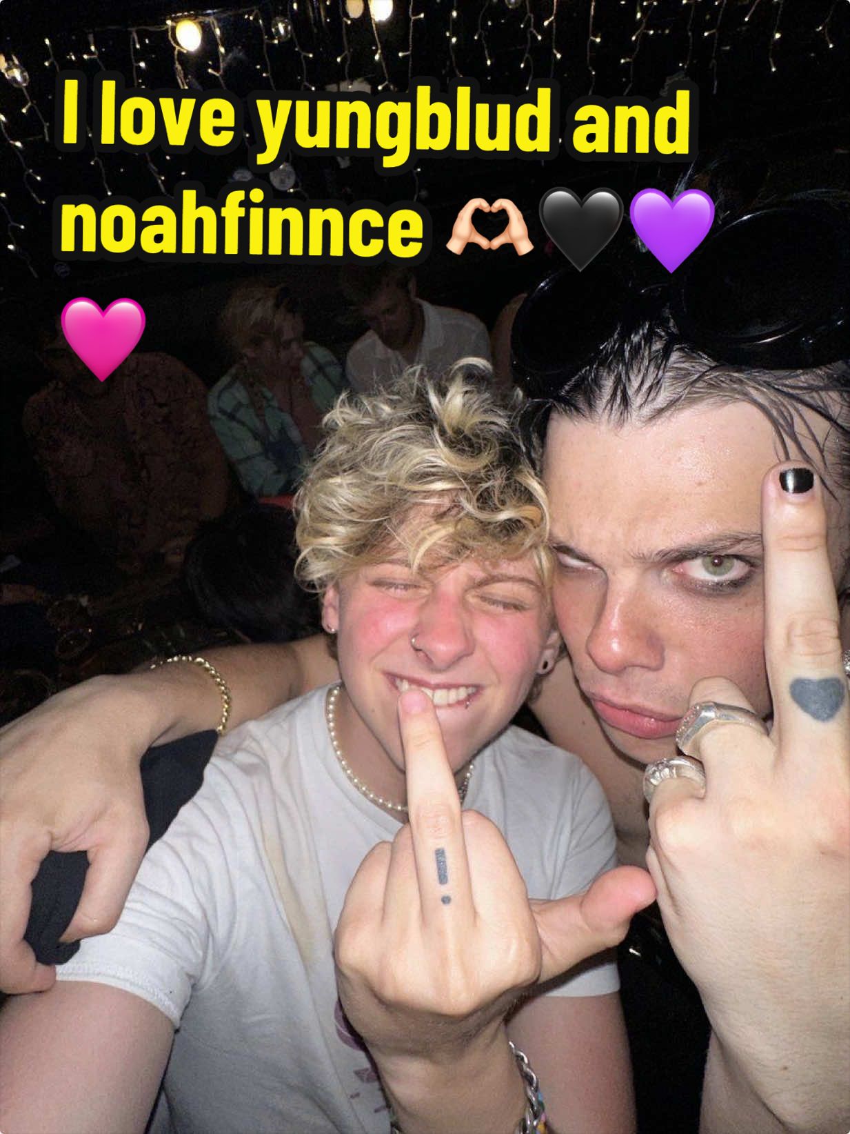 @noahfan8