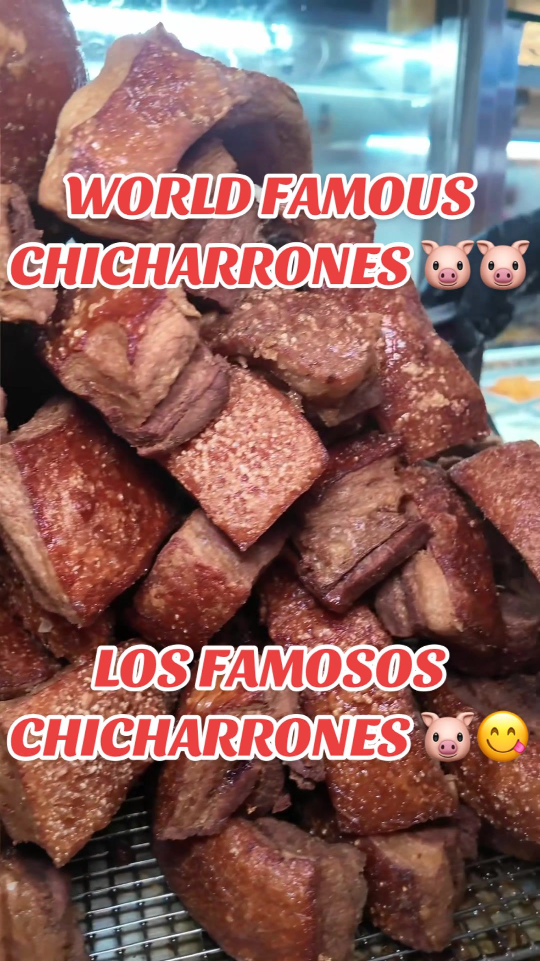 @lacasitatropicahollywood