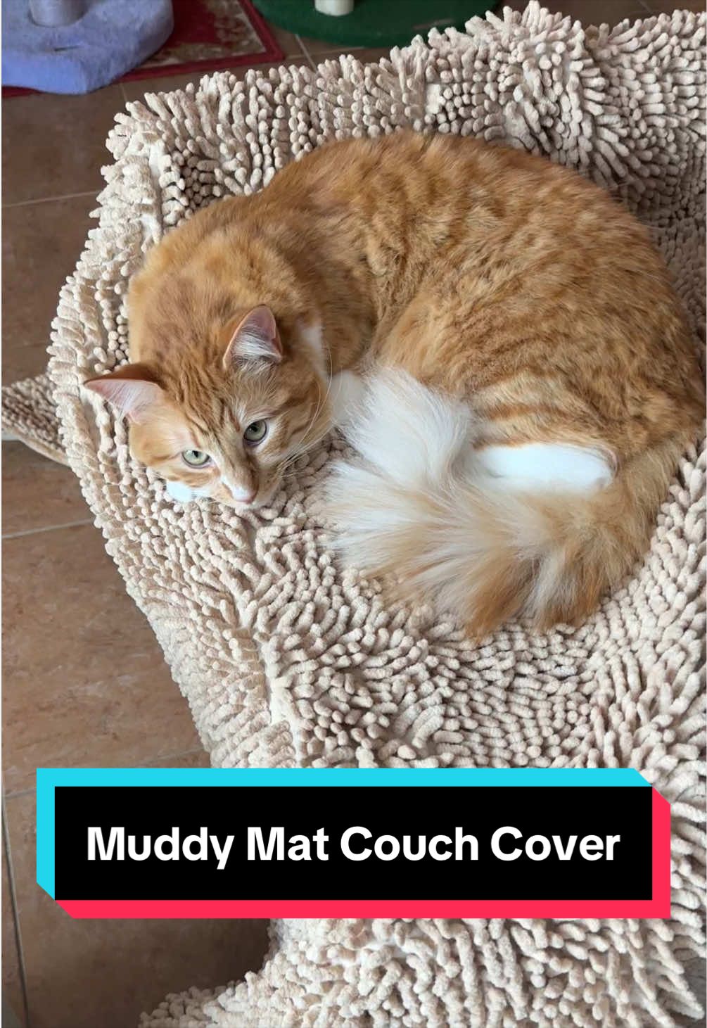 @meloncreamcat