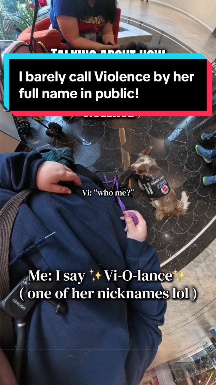 @Dakota & Pups