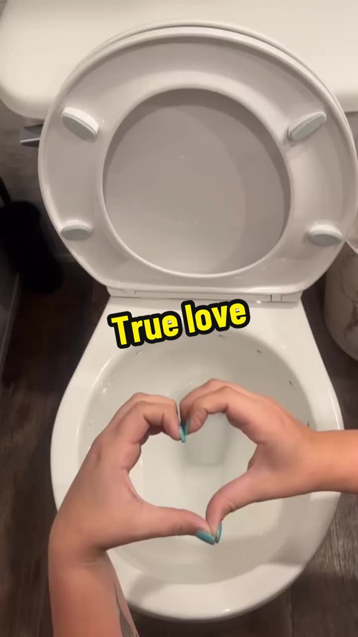 @lanemock2424