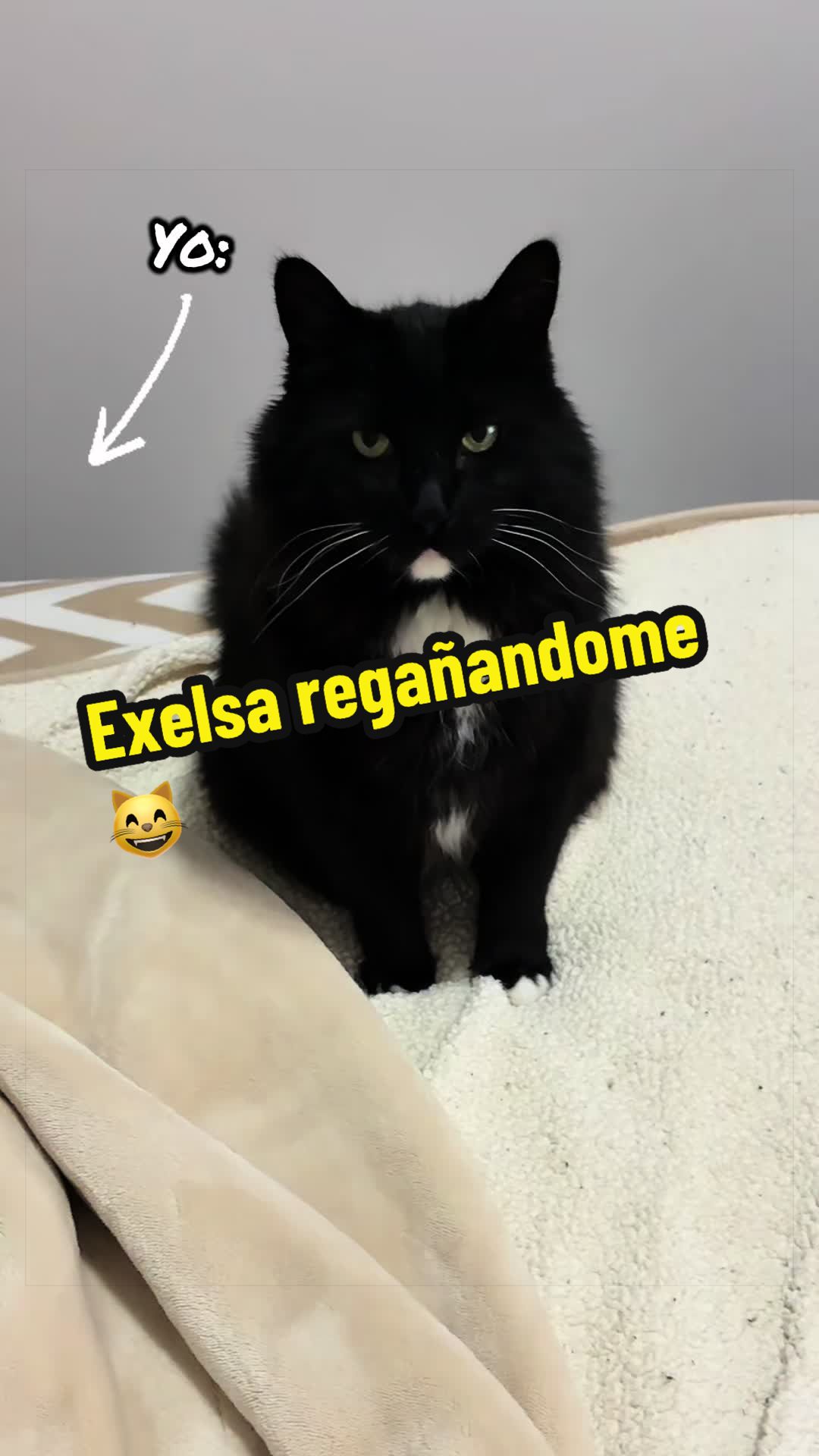 @🦖 MEOWassic World 🌎
