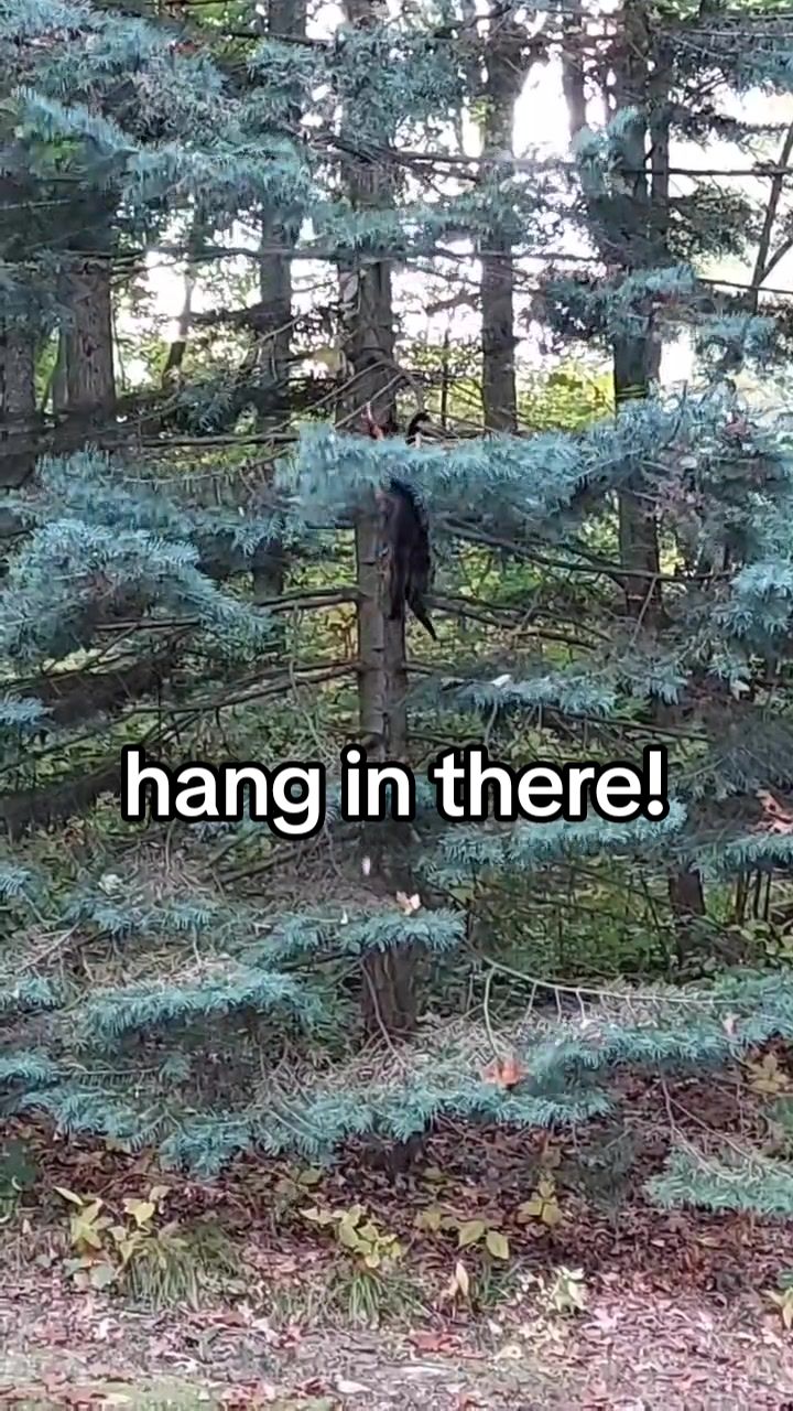 @Lara Lladoc