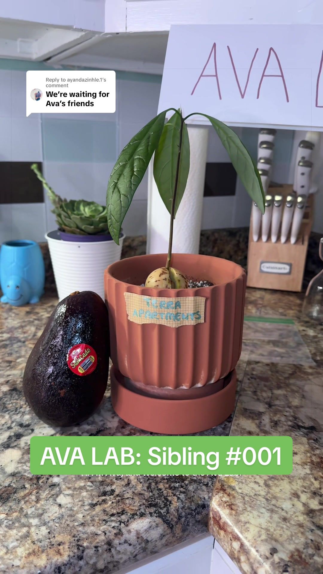 @Niki - Ava’s Mom 🥑🌱