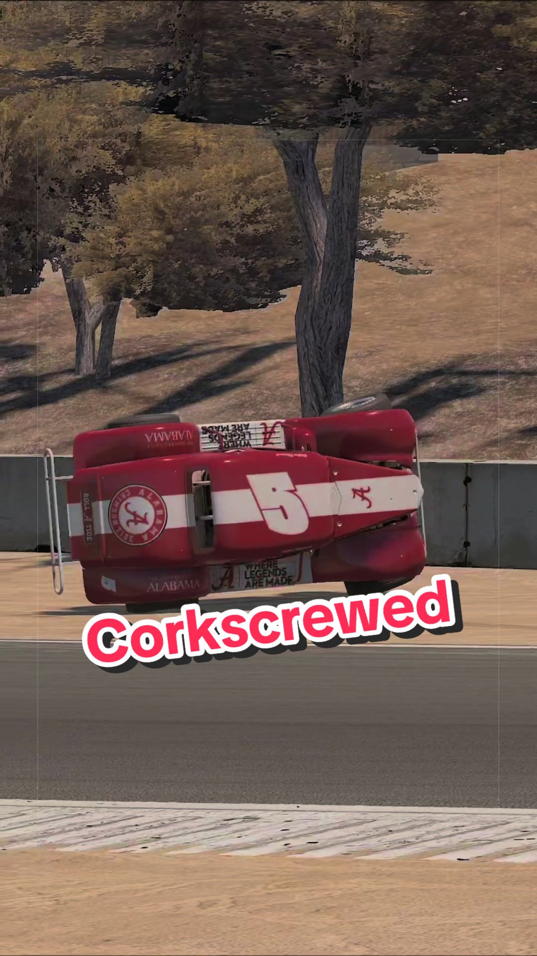 @i Sim Race