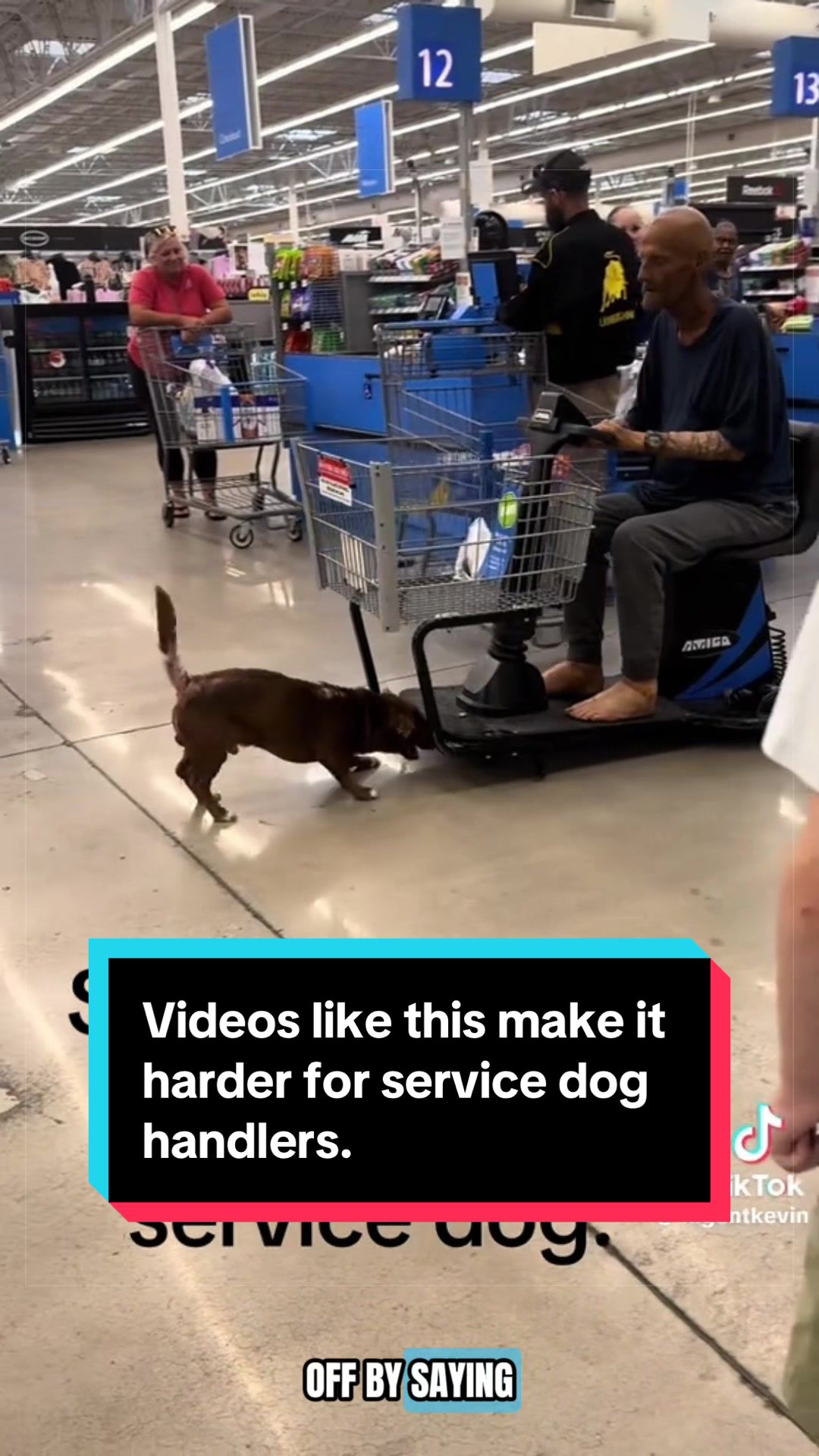 @Dakota & Pups
