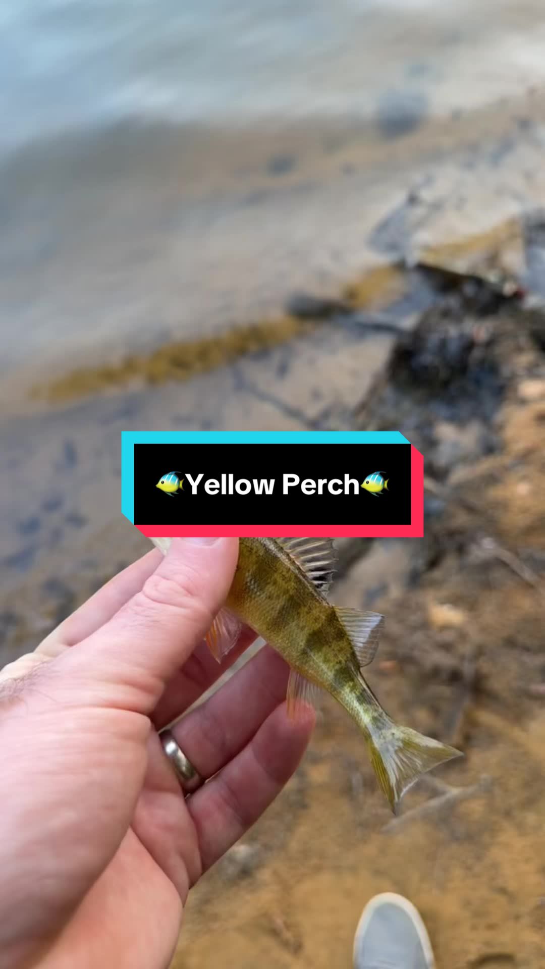 @fb1fishing