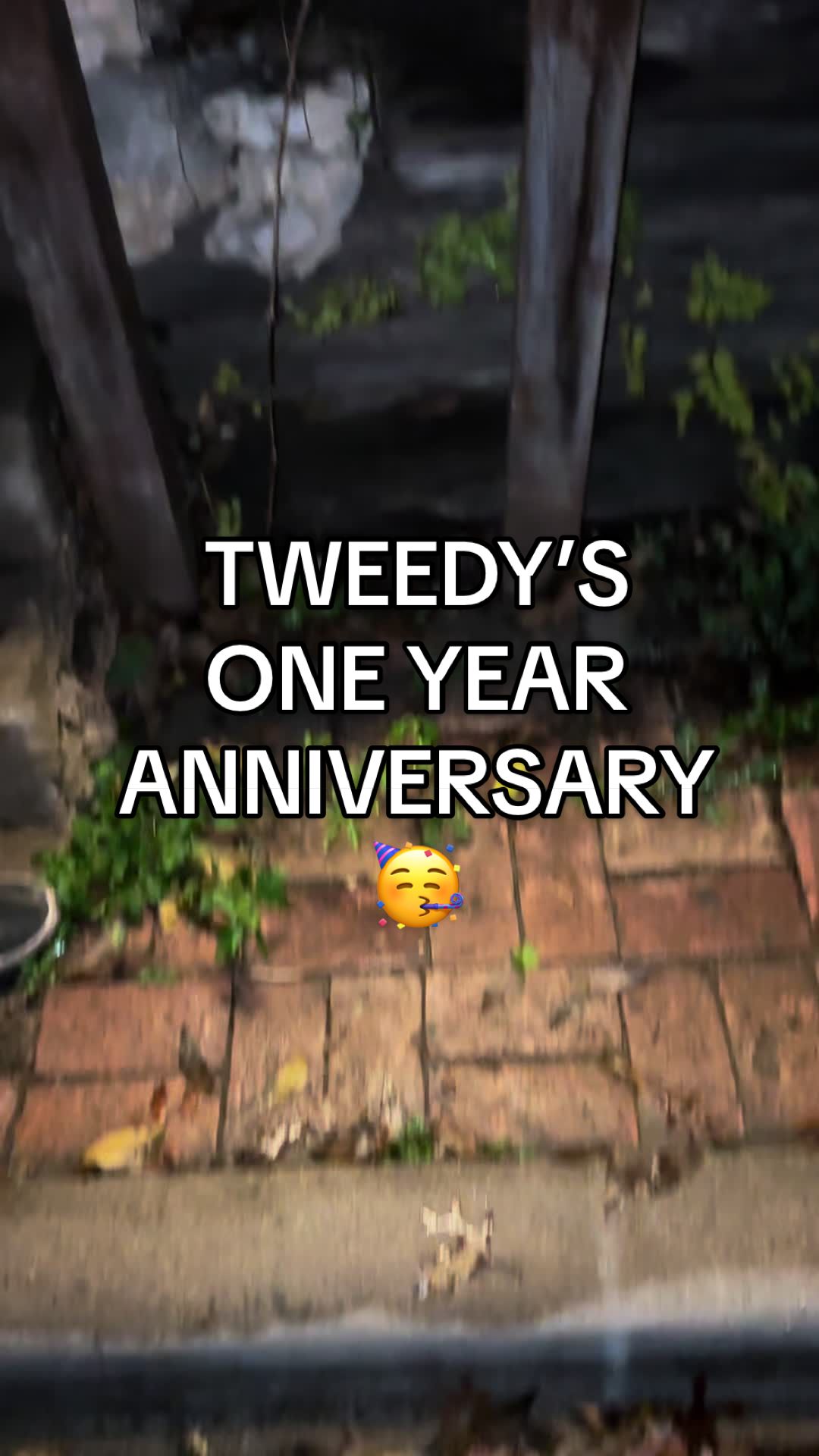 @Tweedy&rsquo;s Bar