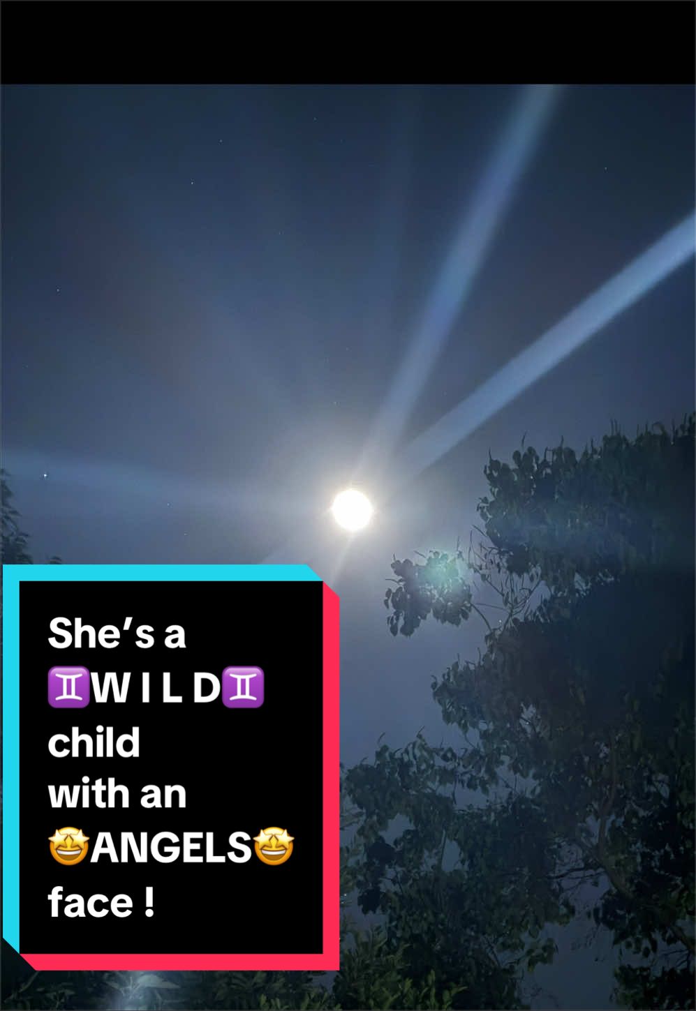 @wineasaurus_rexa
