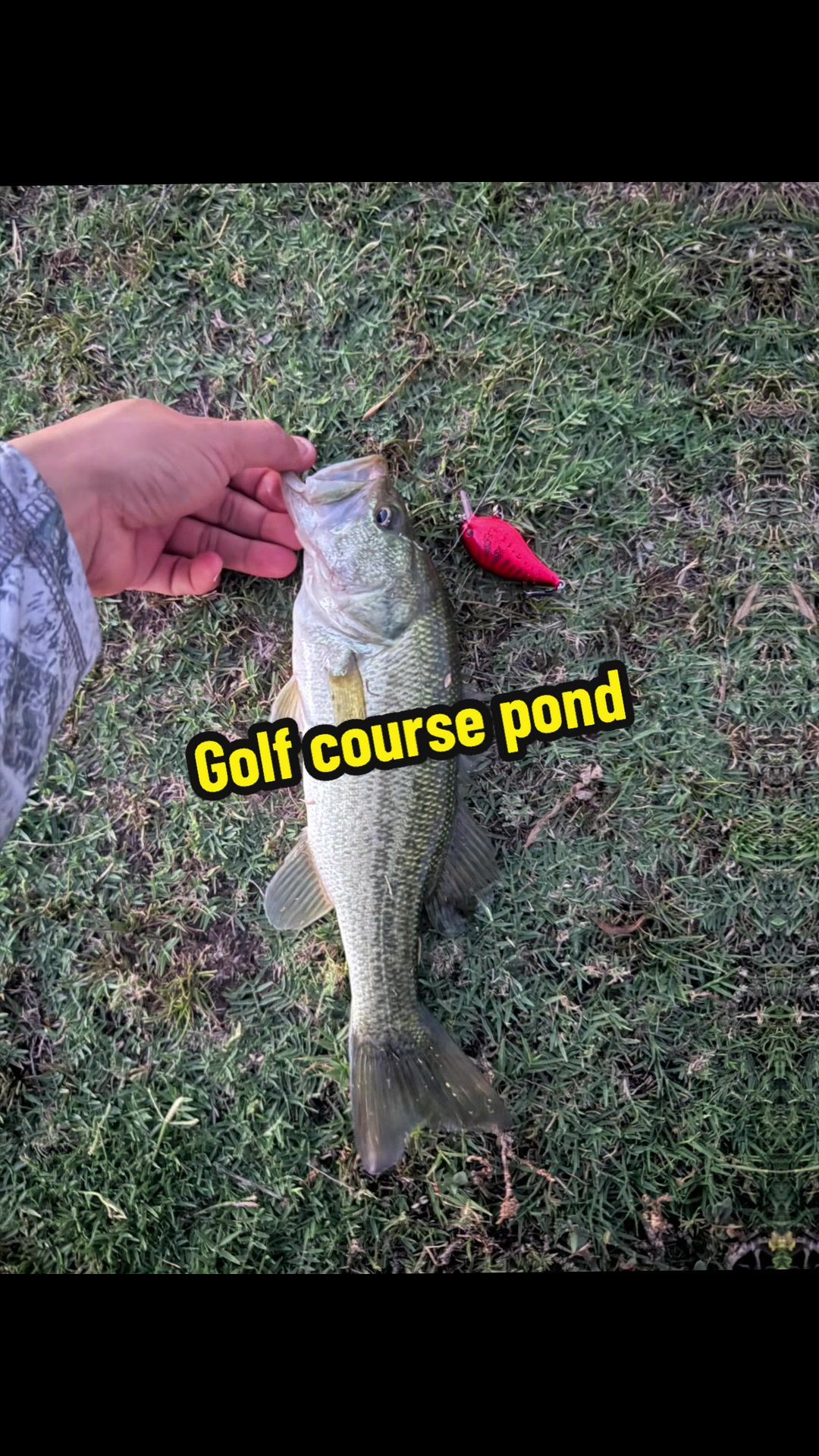 @Luu Nguyen Fishing