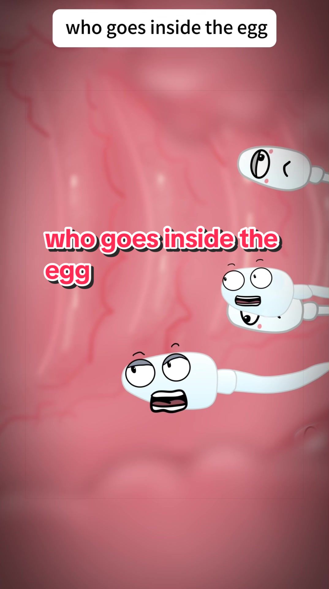 @Funny Animations