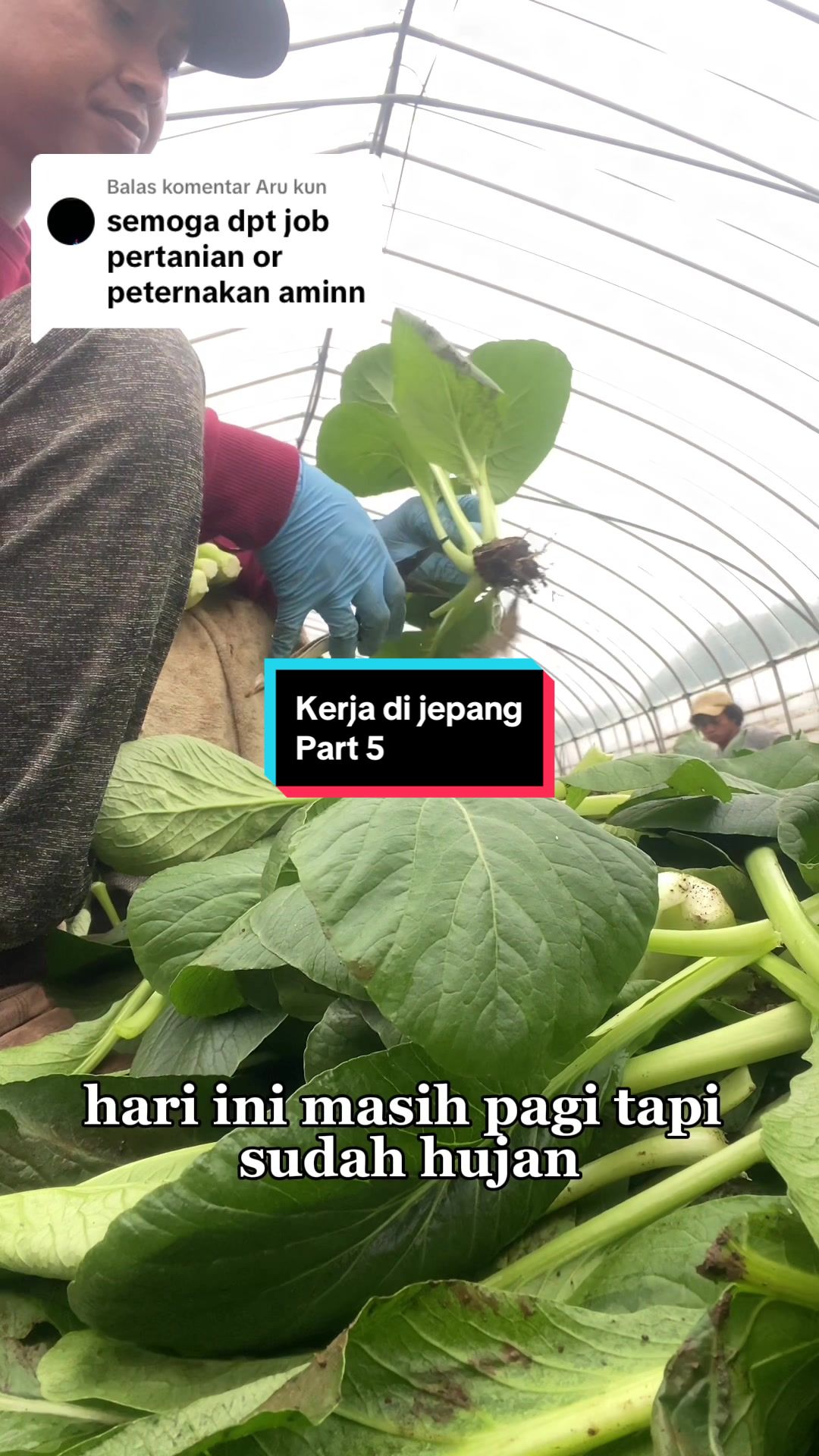 @MASDI 🇯🇵