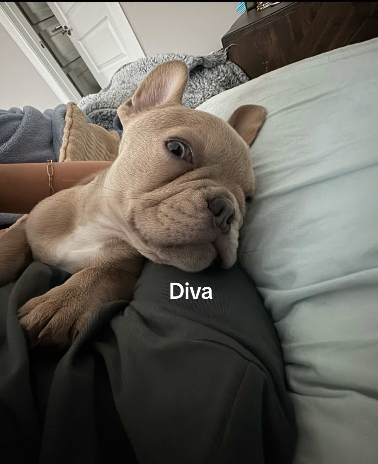 @Julia Ragusa