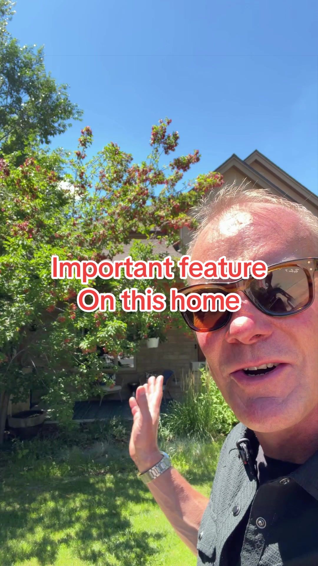 @David Novak Realtor