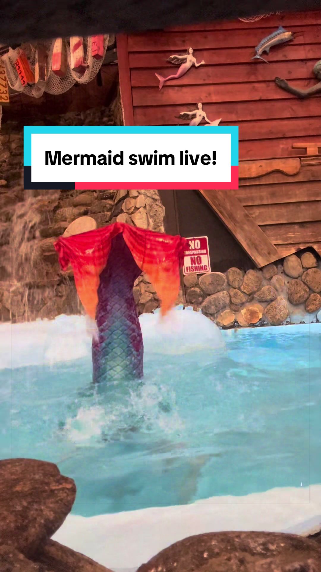 @HaleyMermaid