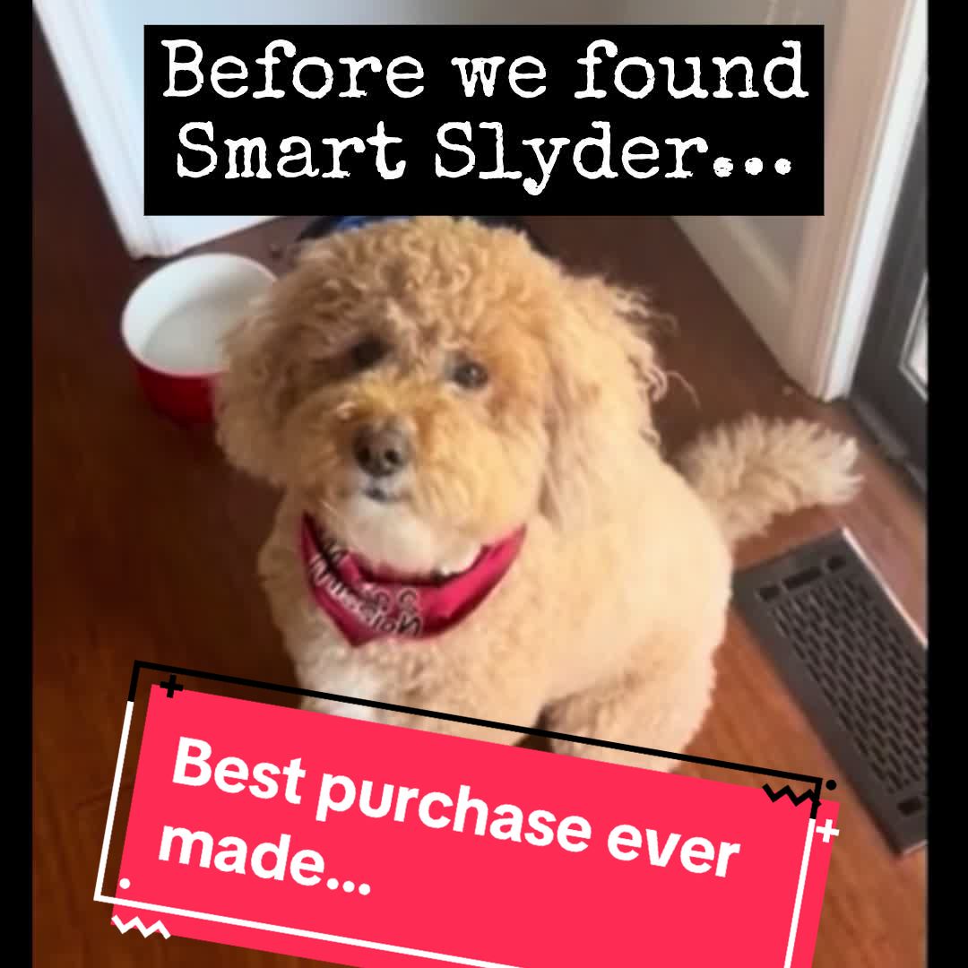 @Adventureswithmoxie
