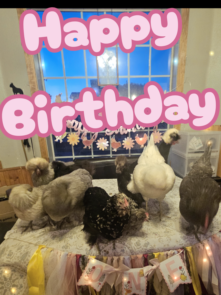 @The Ten Hens