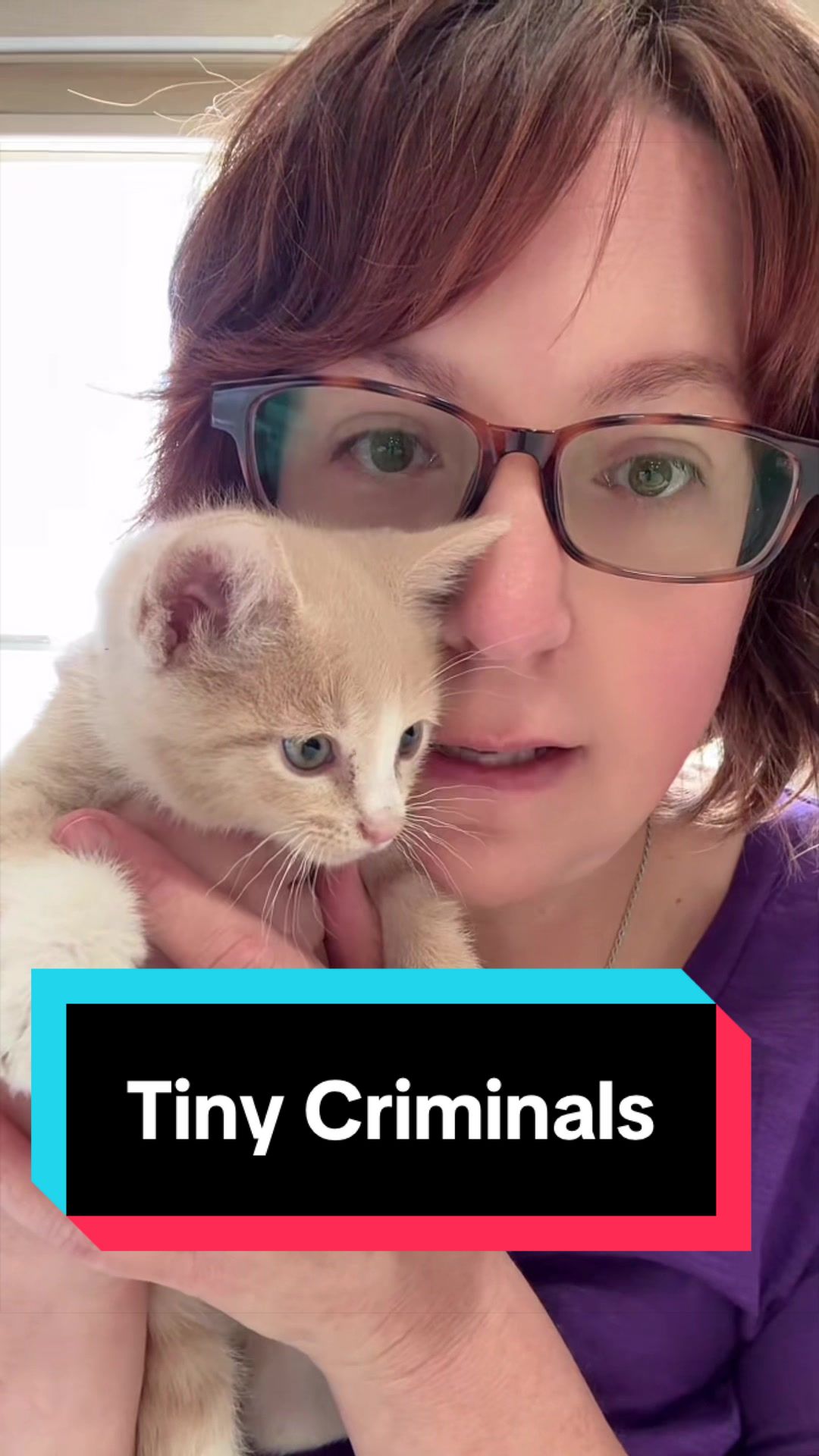 @The Cattery