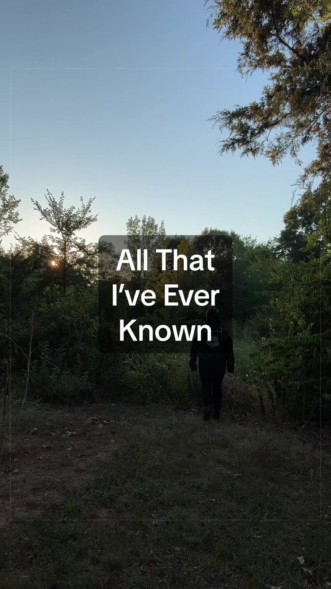 @Bellamy Dawes