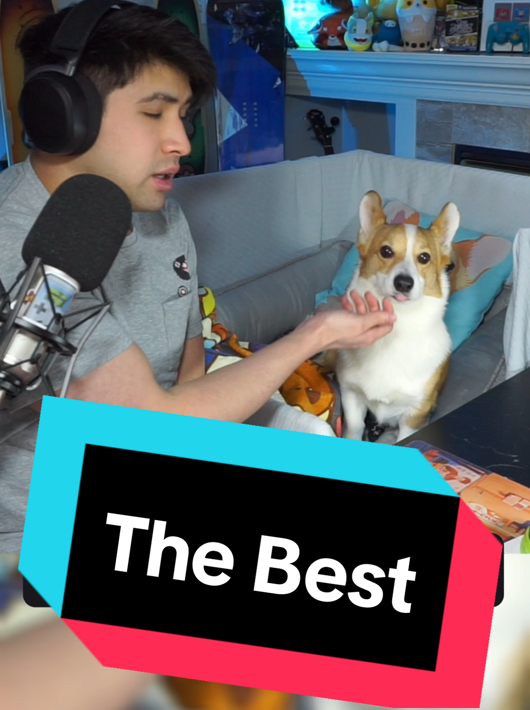 @Protocorg | Twitch Streamer