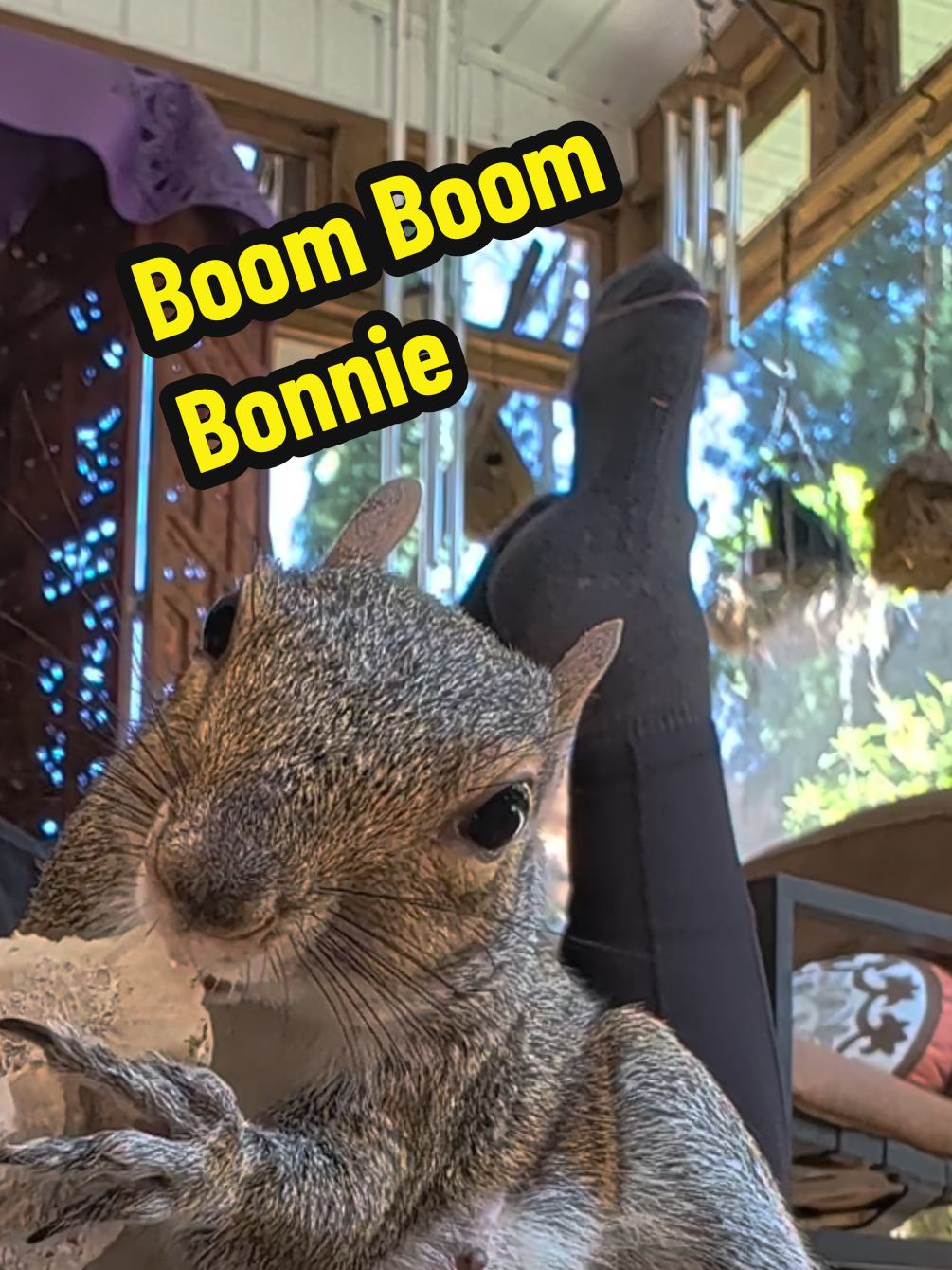 @Miss Bonnie McSquirrely