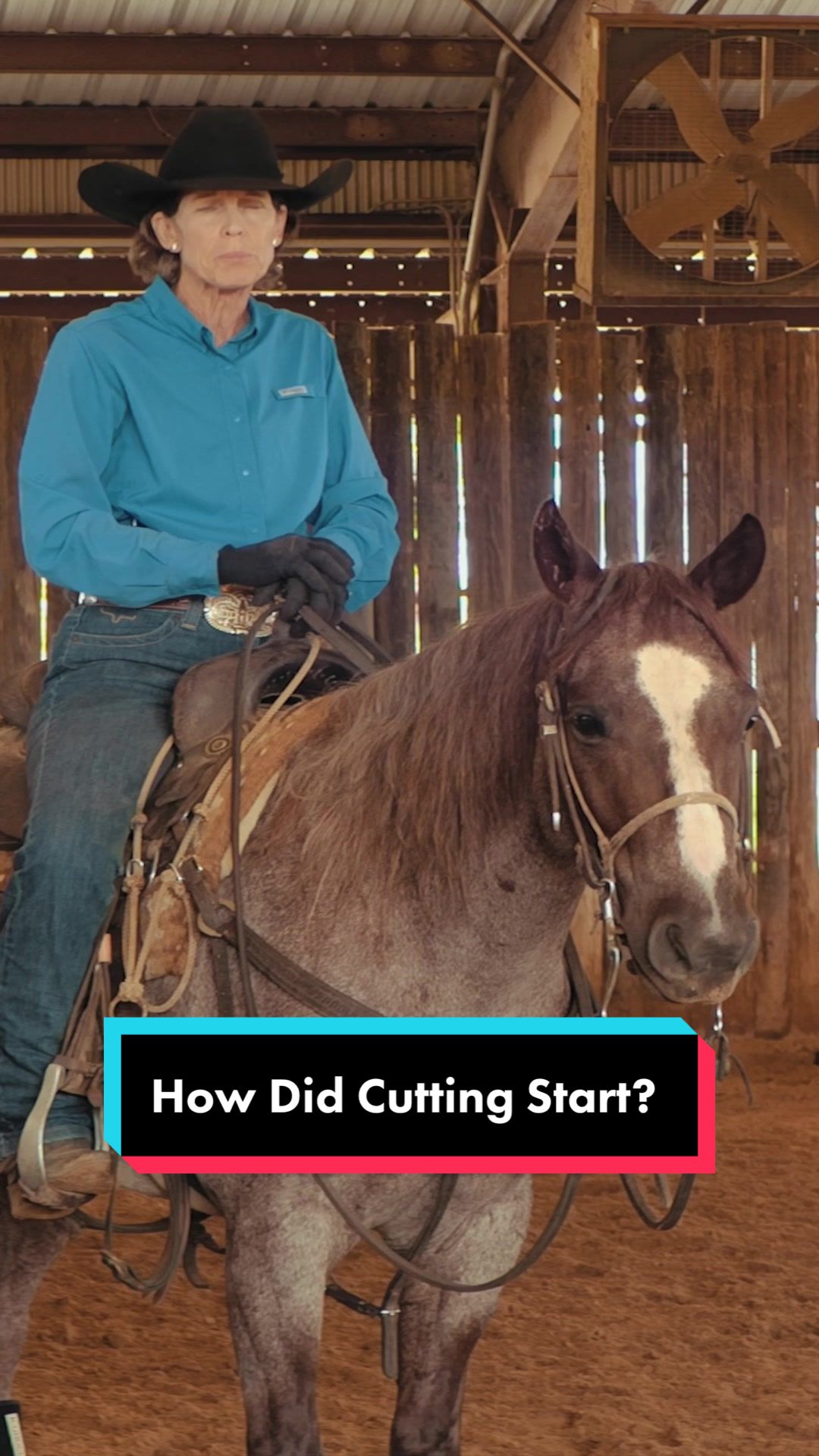 @Fit Equine