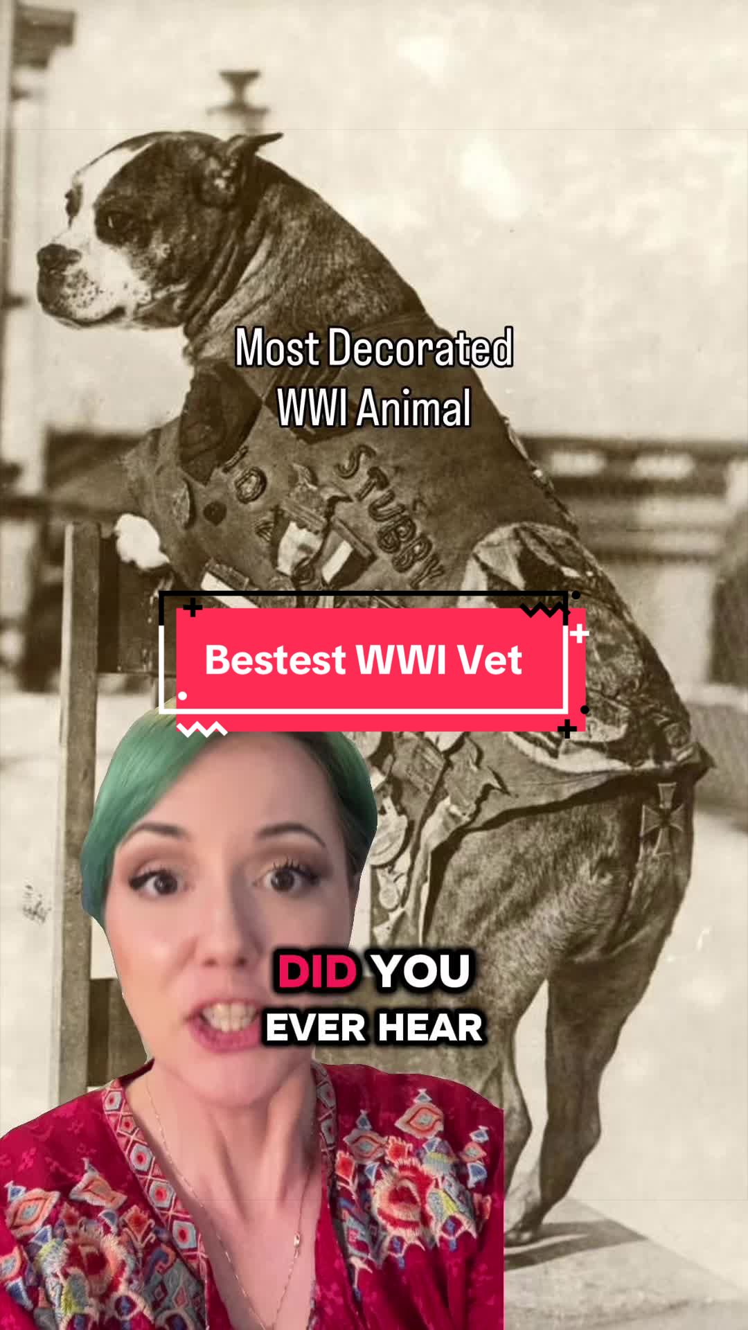 @Twigliot