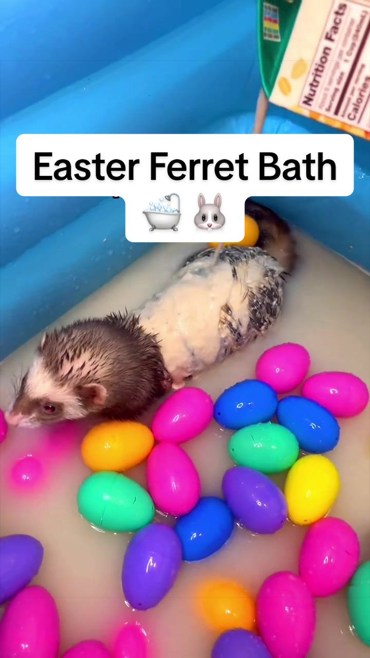 @Floofnoodles