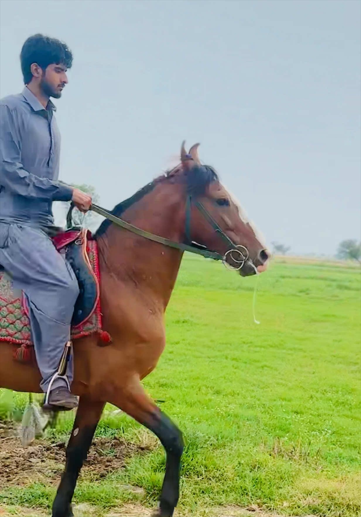 @Dullah Gujjar