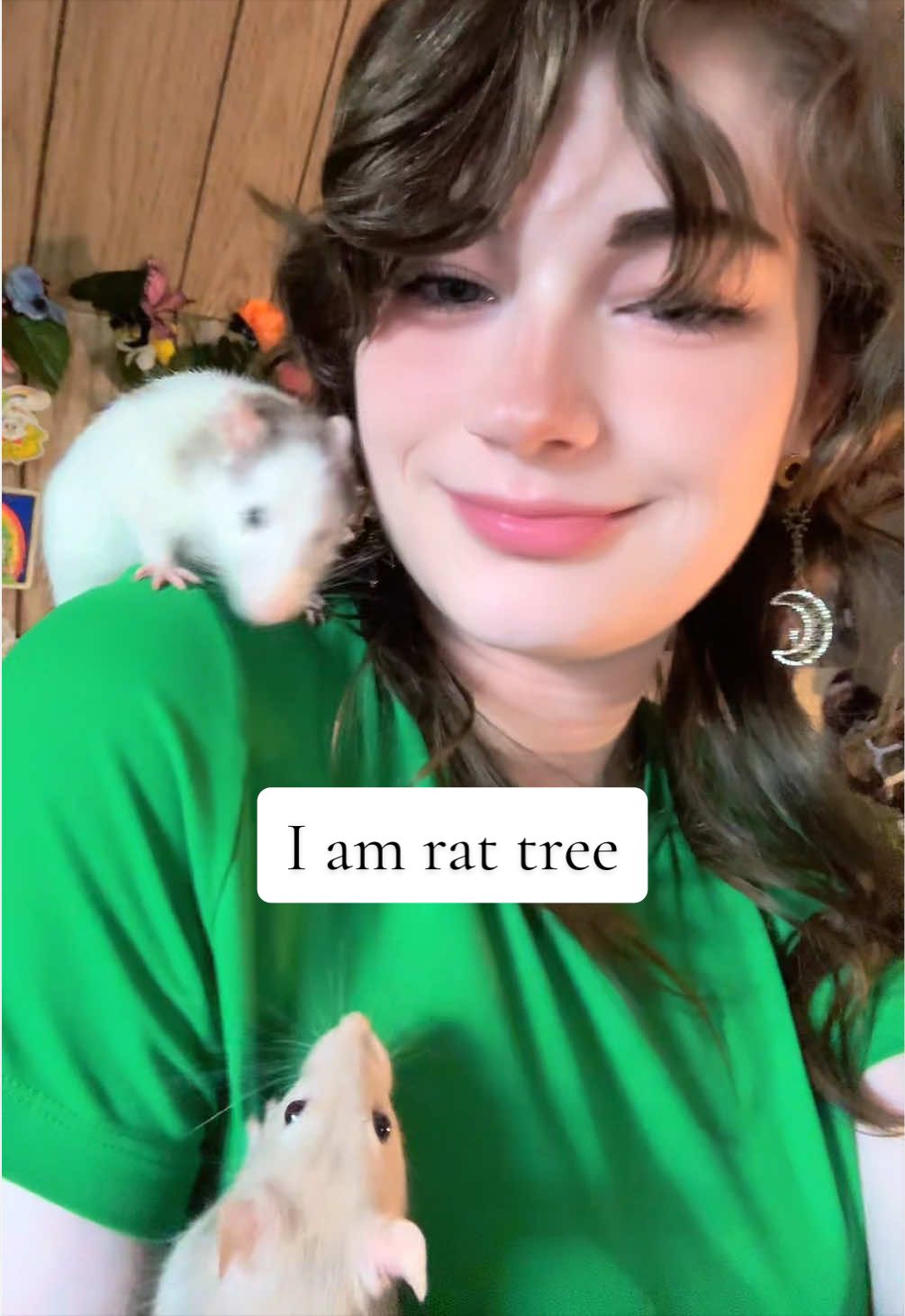 @lookatmyrodents