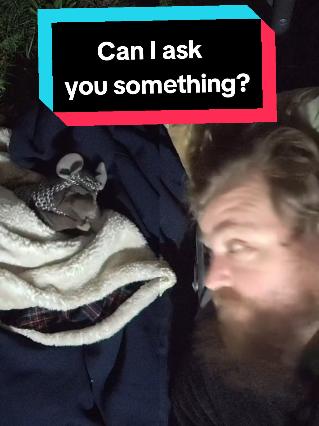 @Sir Mousecot