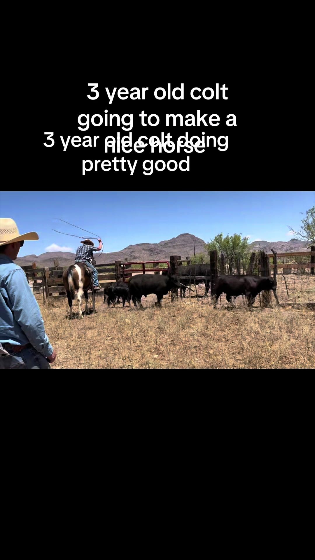 @carlosthecowpuncher