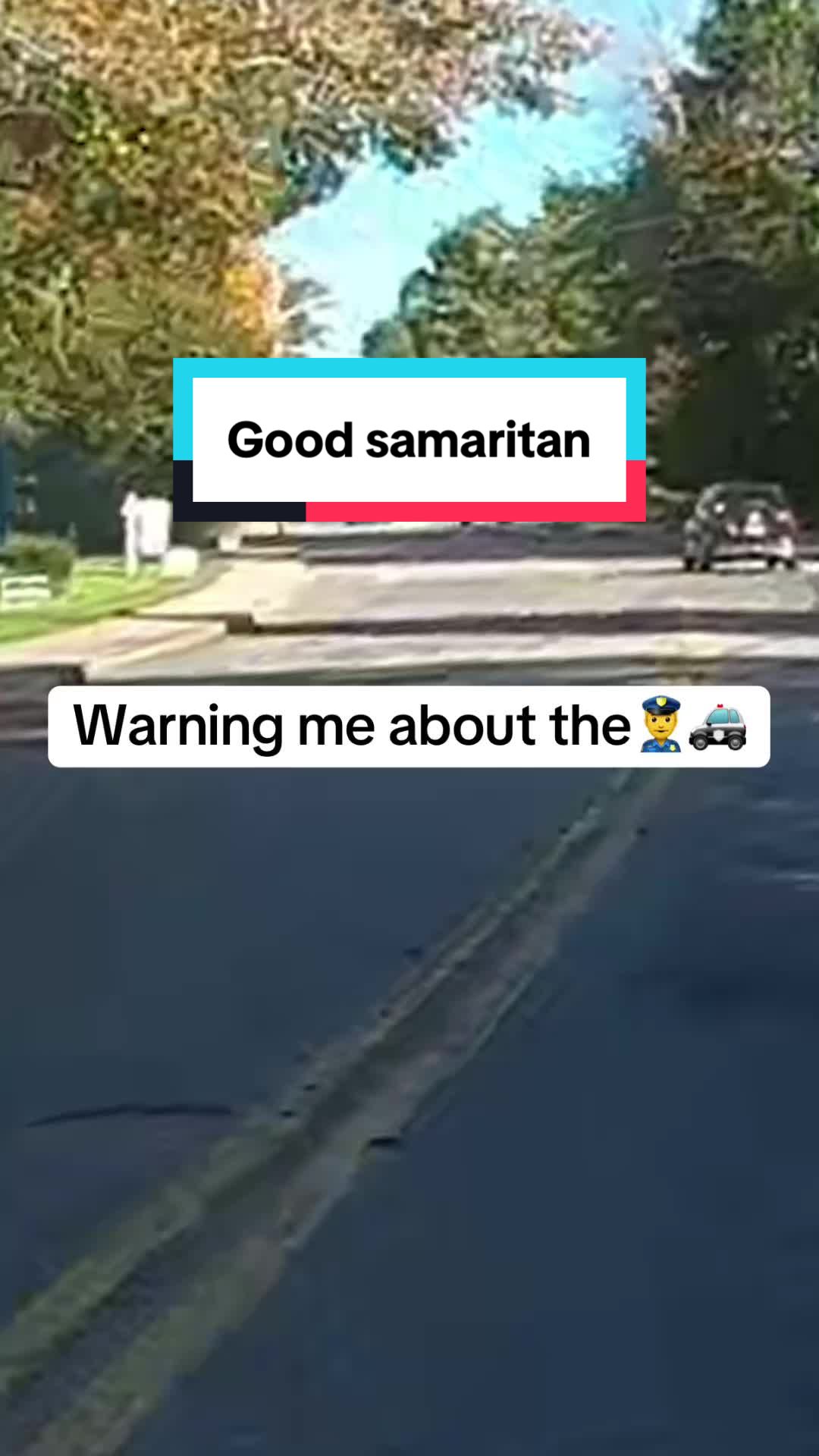 @Suzuki Sue