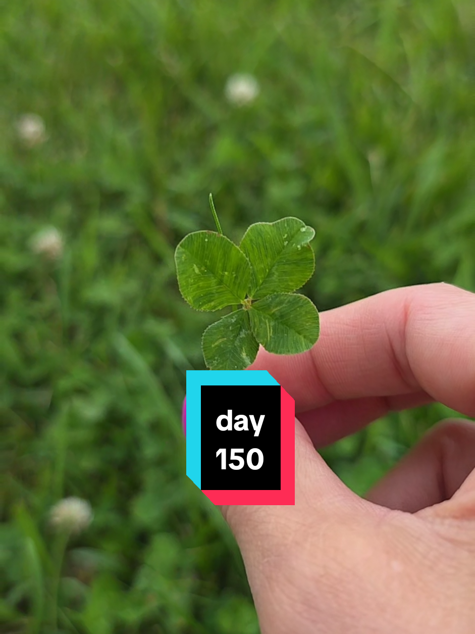 @Life Built in KY