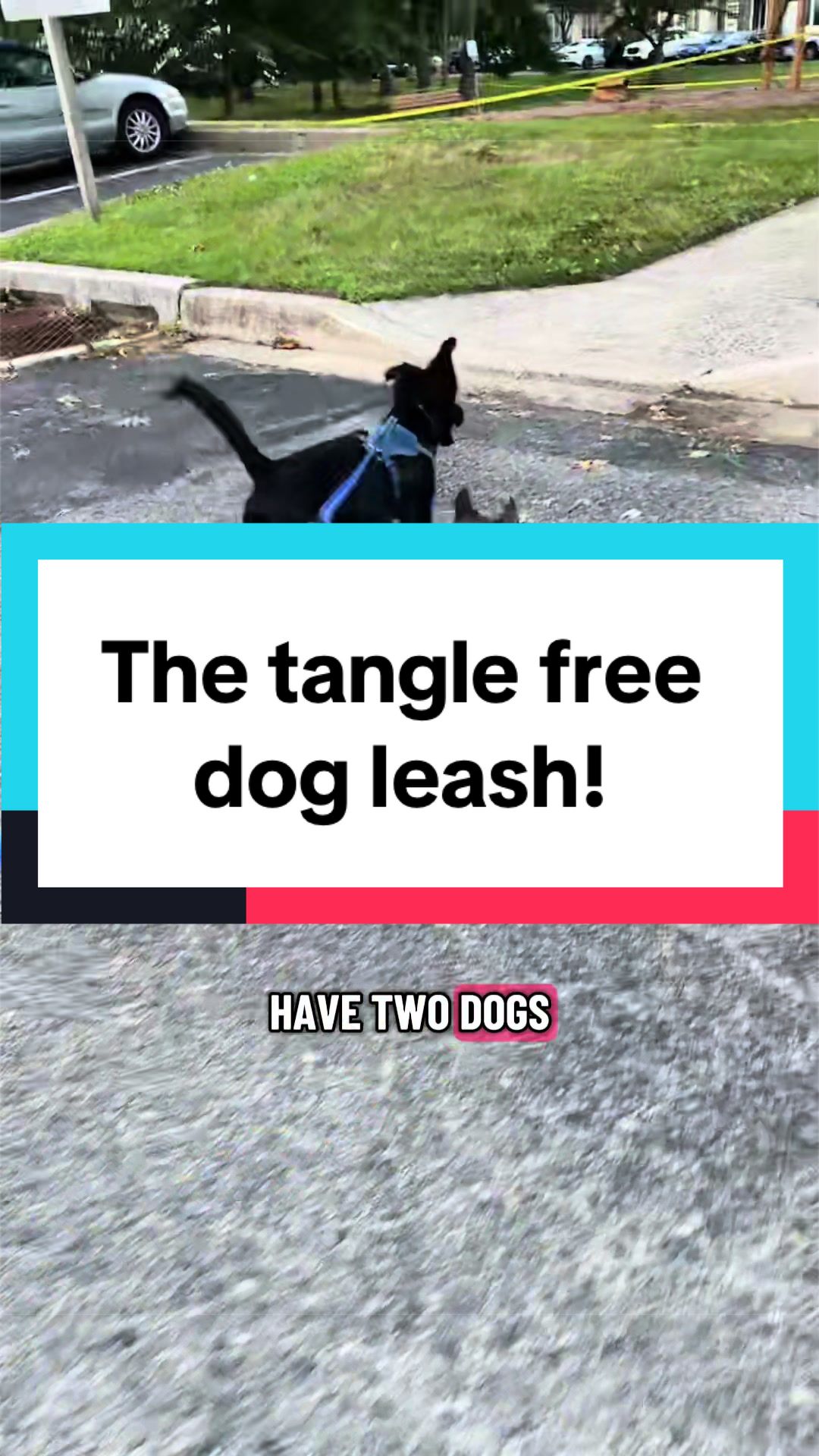 @LivinWithLevi