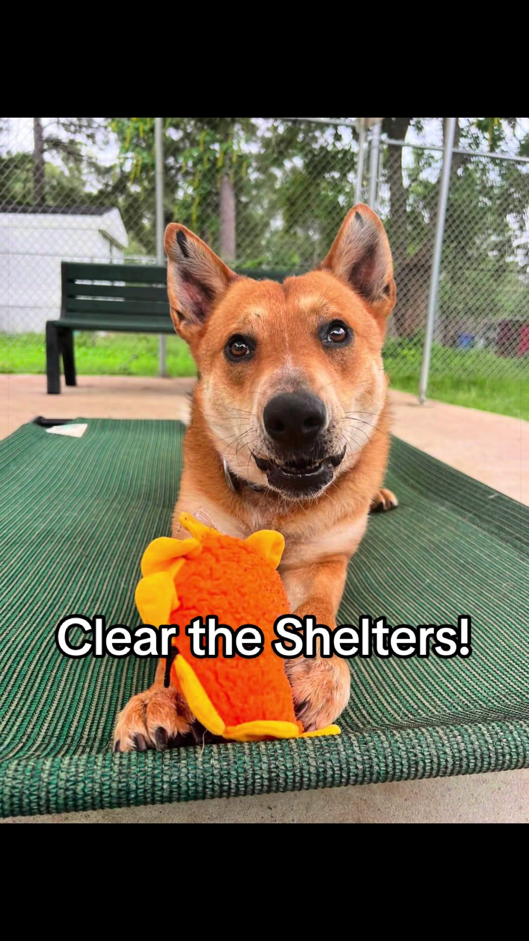 @Corridor Rescue Inc.