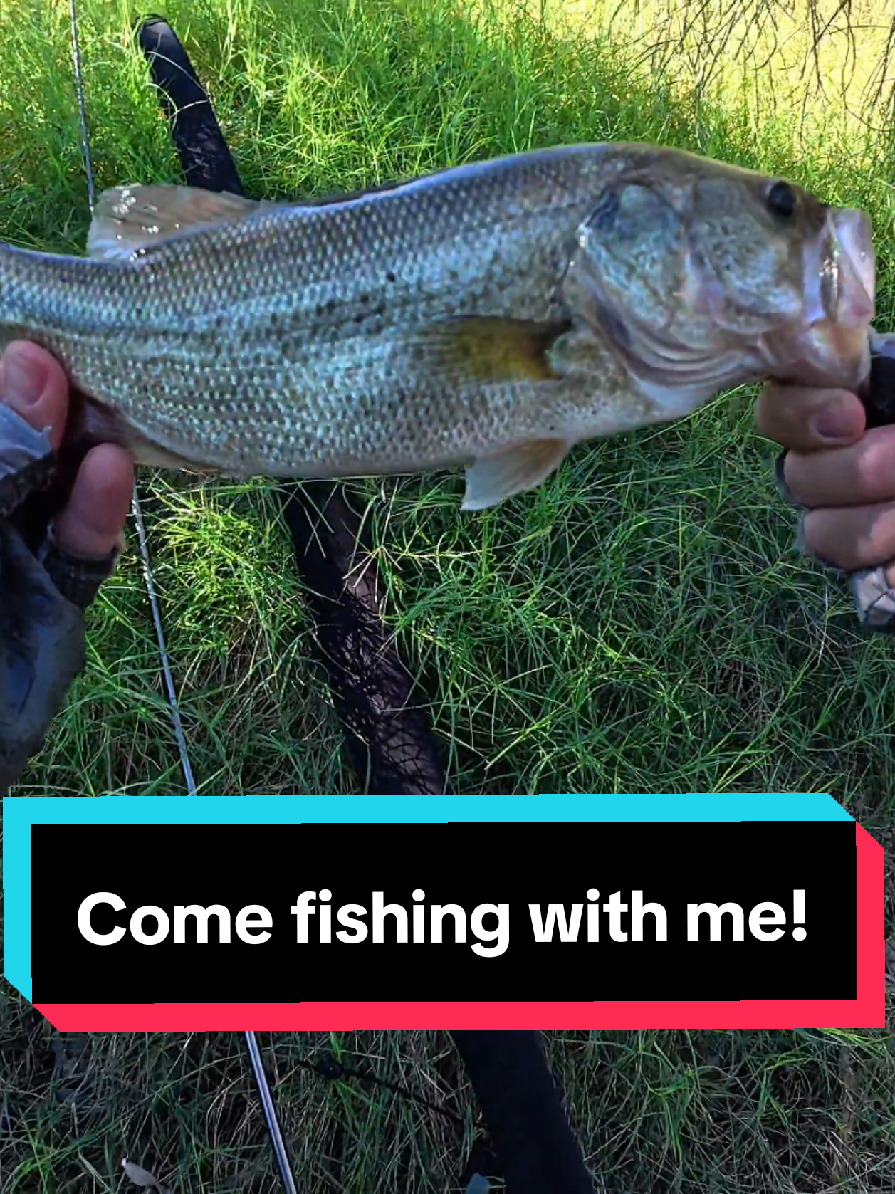 @SalmonInTheDesert